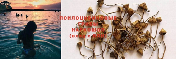 альфа пвп Карпинск