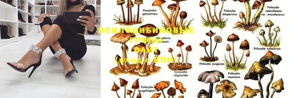 мдма Касимов