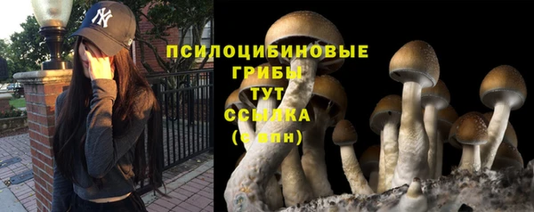 мдма Касимов