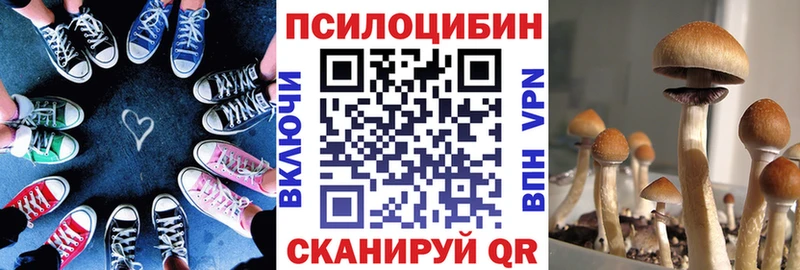Галлюциногенные грибы ЛСД  Купить где  Байкальск 